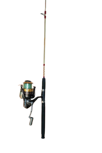 Fishing Rods (Professional)