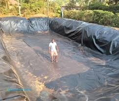 Pond Equipment