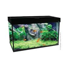Fish Tank