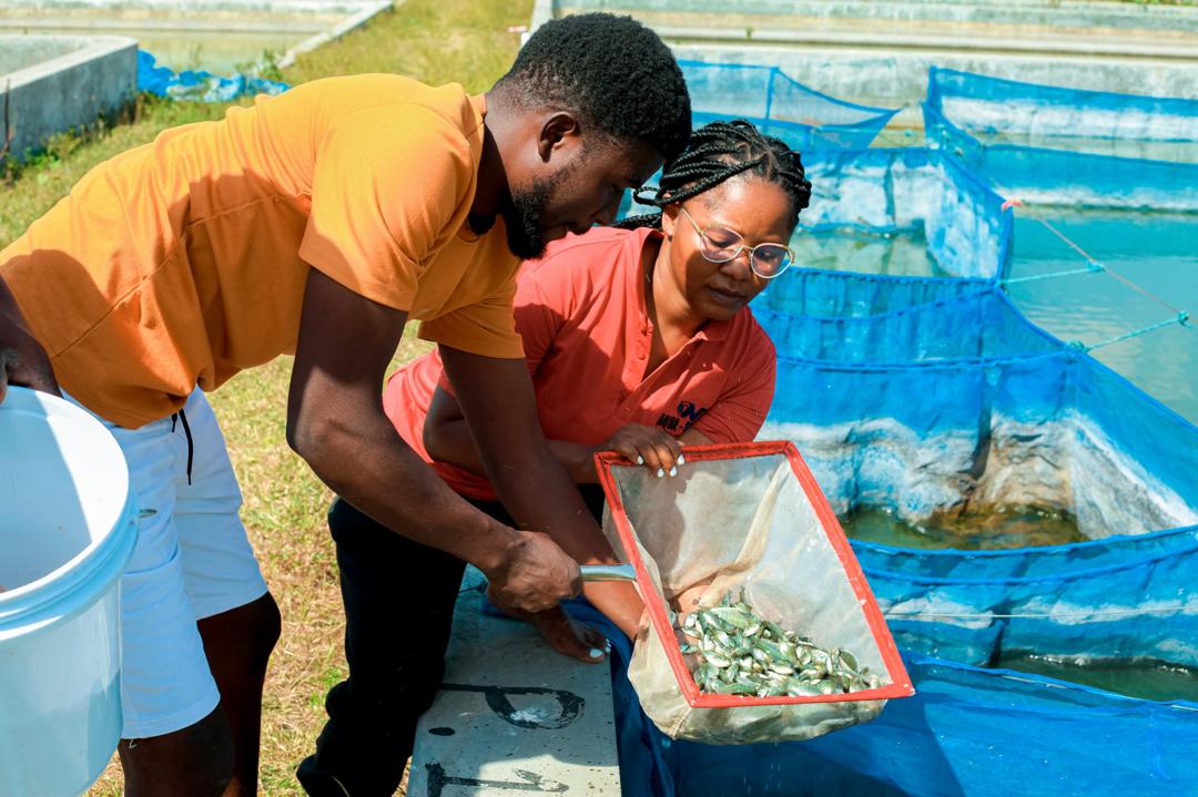 Mobile Fish Pond (1000L)