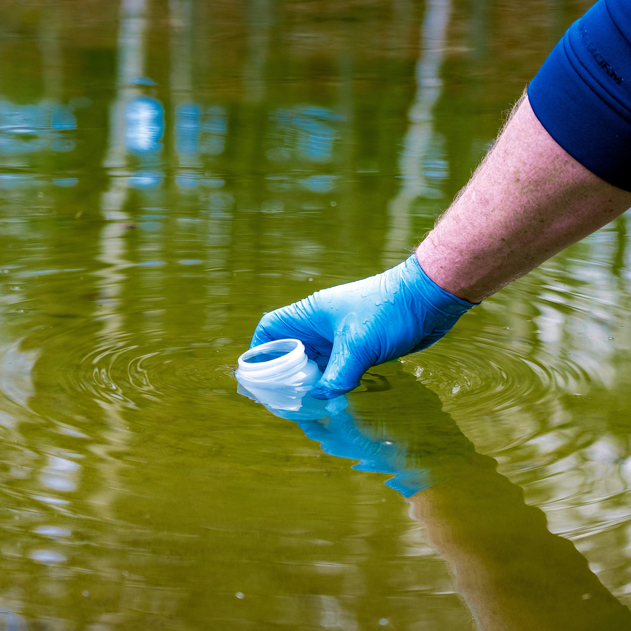 Water Quality